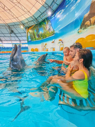 Dolphin Show - Phuket Dolphin Bay